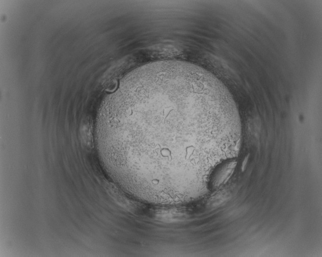 X0000077280177200611031534