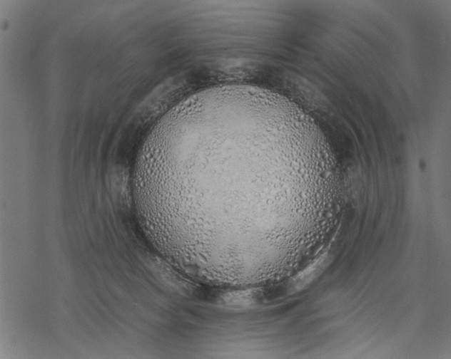 X0000077280178200611031534