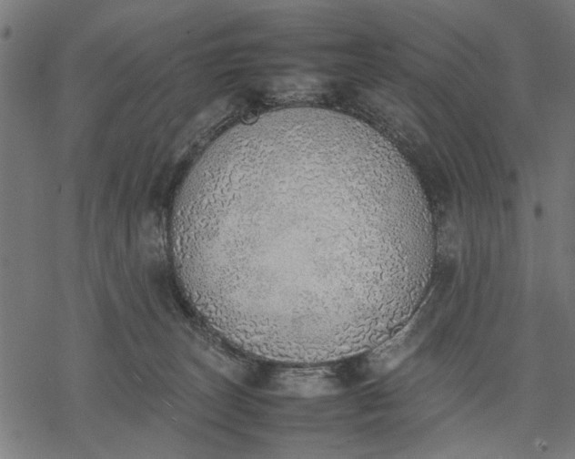 X0000077280179200611031534