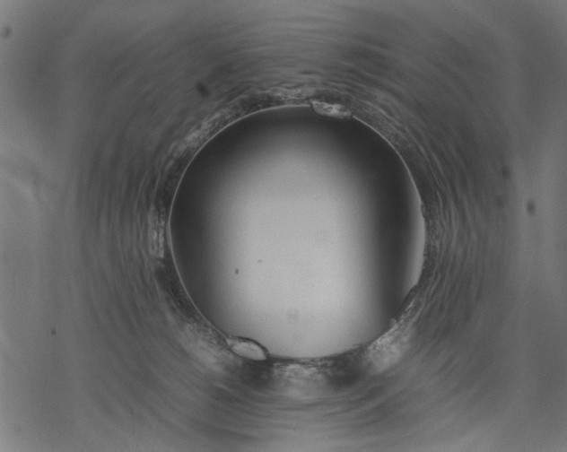 X0000077280180200611031534