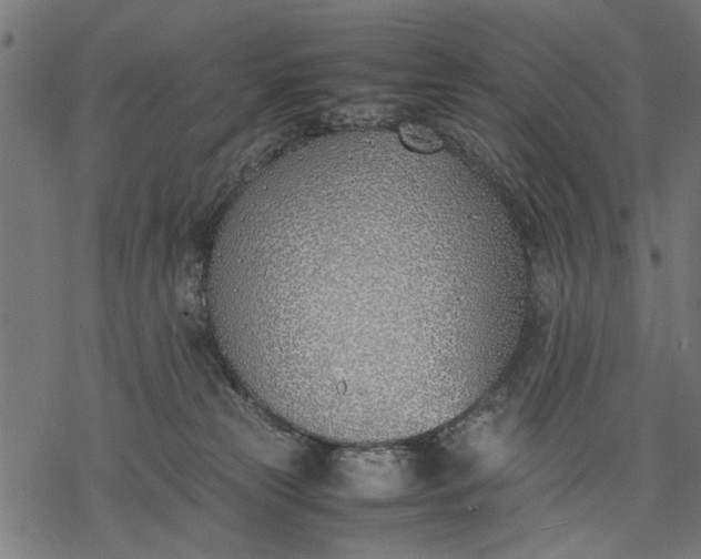 X0000077280181200611031534