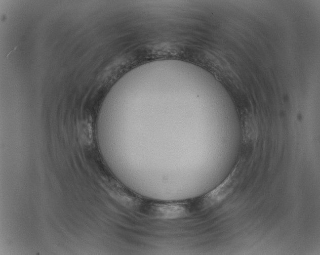 X0000077280183200611031534