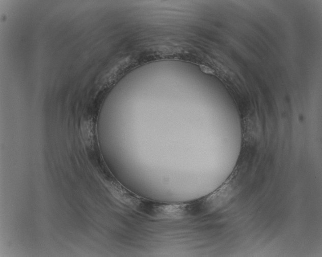 X0000077280184200611031534