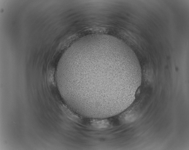 X0000077280185200611031534