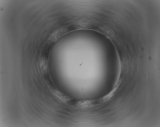 X0000077280186200611031534