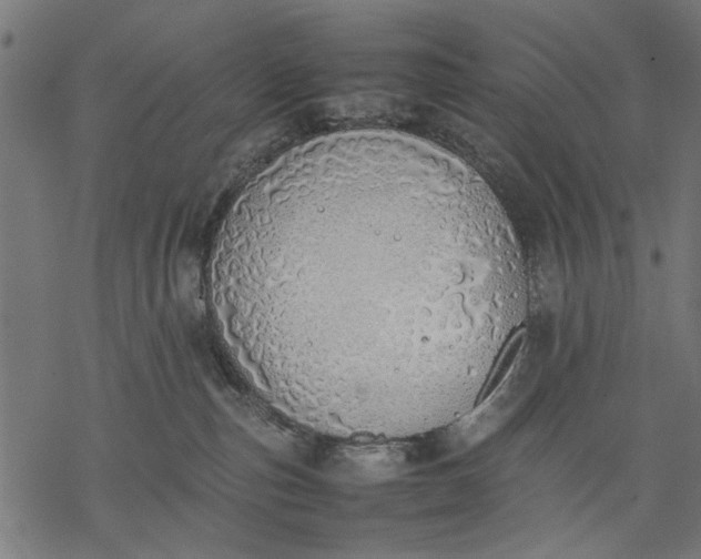 X0000077280187200611031534