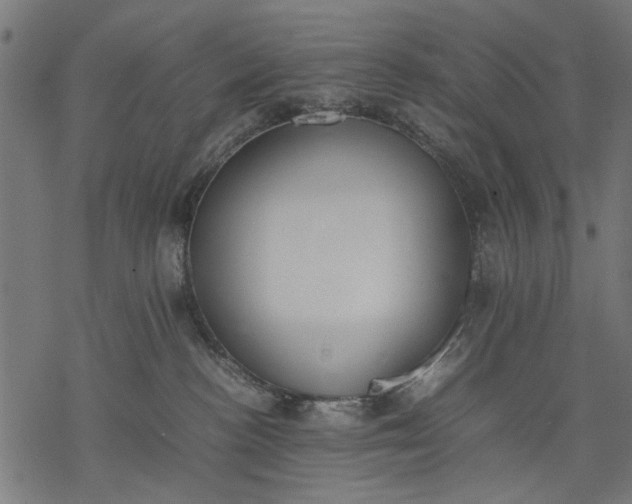 X0000077280188200611031534