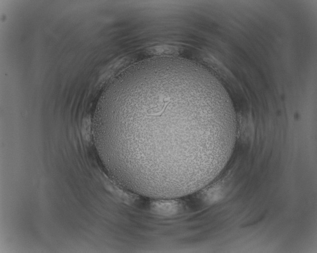 X0000077280189200611031534