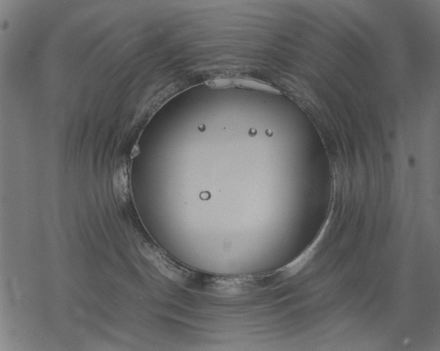 X0000077280190200611031534