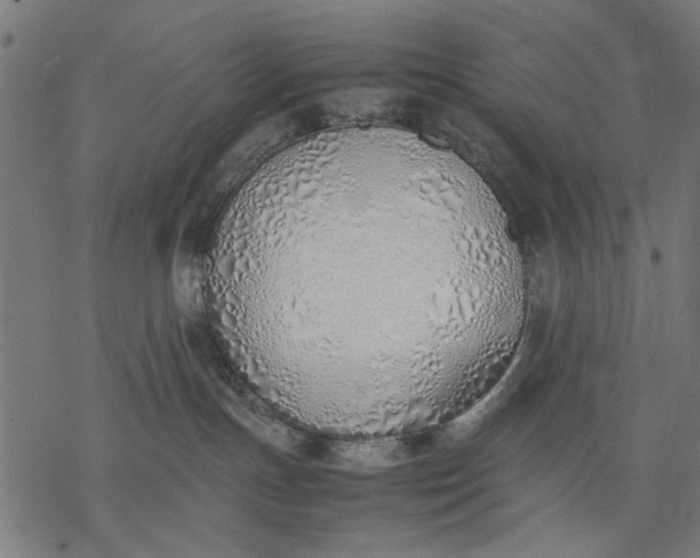 X0000077280191200611031534