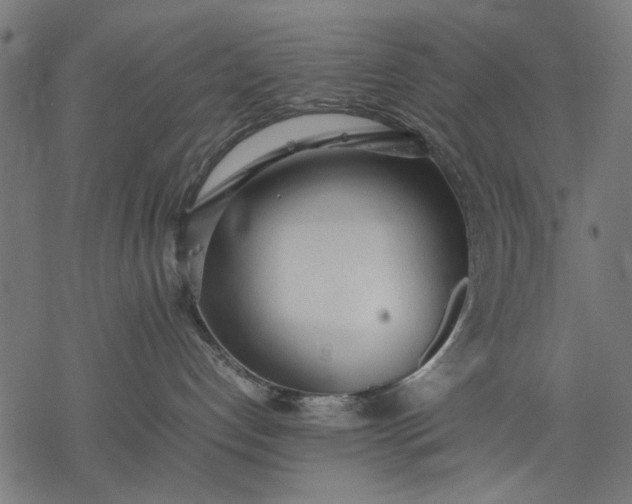 X0000077280192200611031534