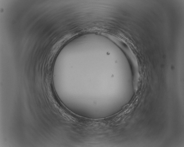 X0000077280193200611031534