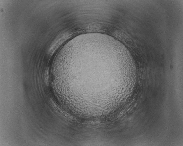 X0000077280194200611031534