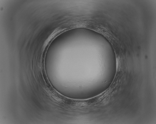 X0000077280195200611031534