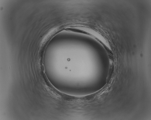 X0000077280197200611031534