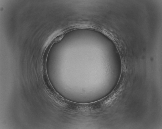 X0000077280199200611031534