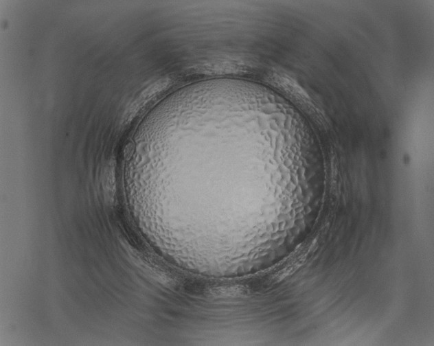 X0000077280202200611031534