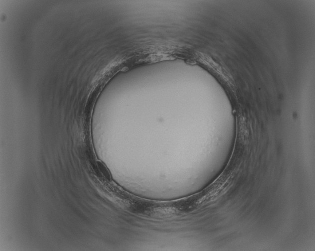 X0000077280203200611031534