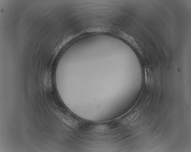 X0000077280204200611031533