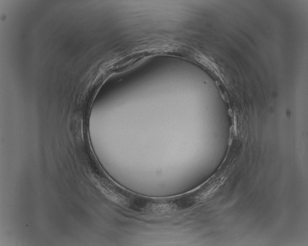 X0000077280205200611031533