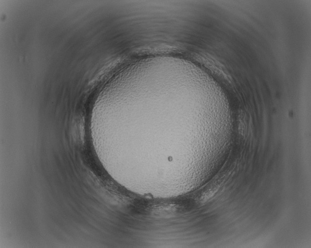 X0000077280206200611031533