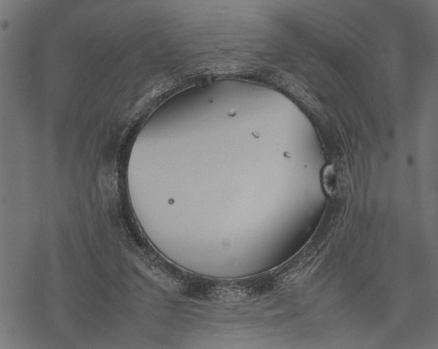 X0000077280207200611031533