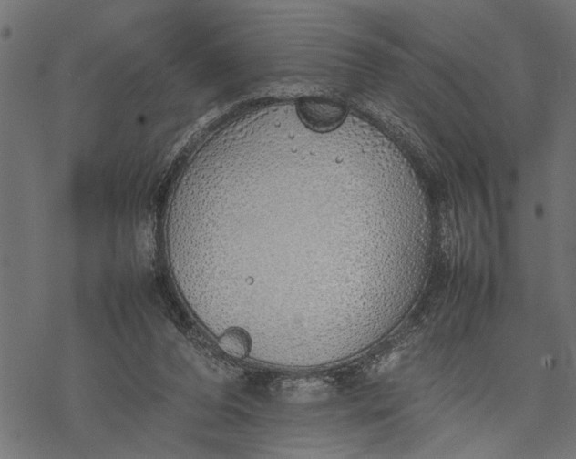 X0000077280208200611031533