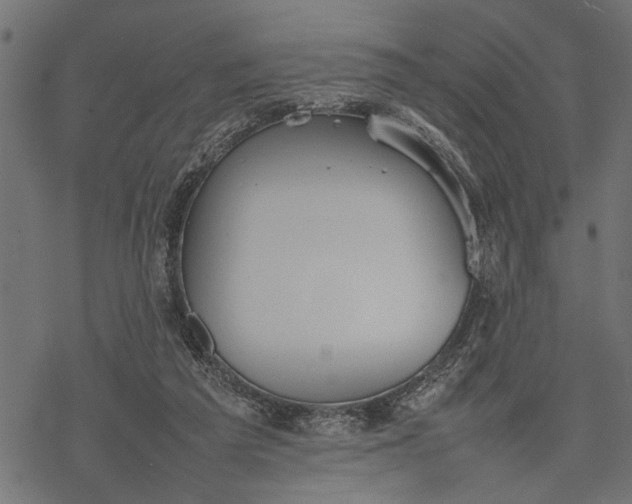 X0000077280209200611031533