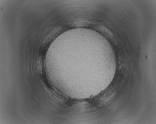 X0000077280210200611031533