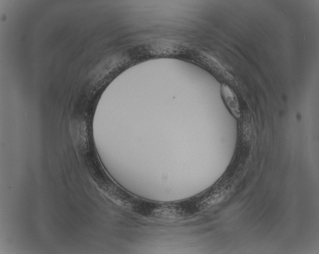 X0000077280211200611031533