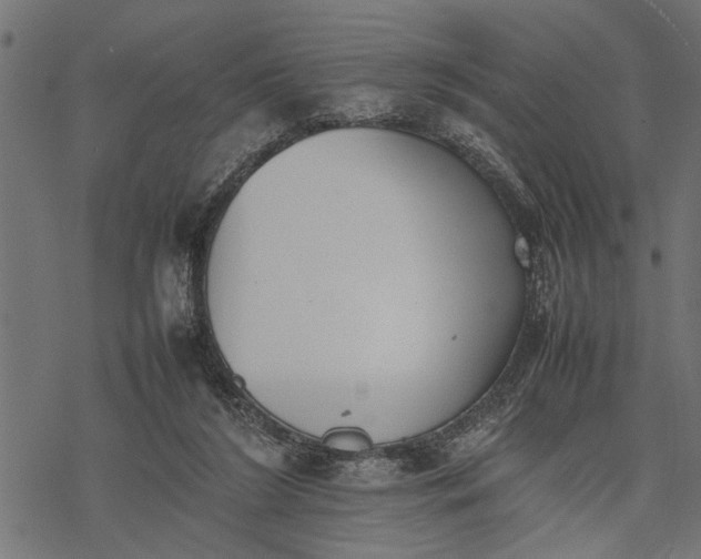 X0000077280212200611031533