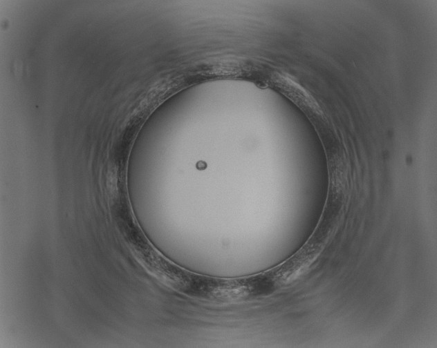 X0000077280213200611031533