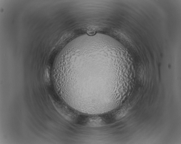 X0000077280214200611031533