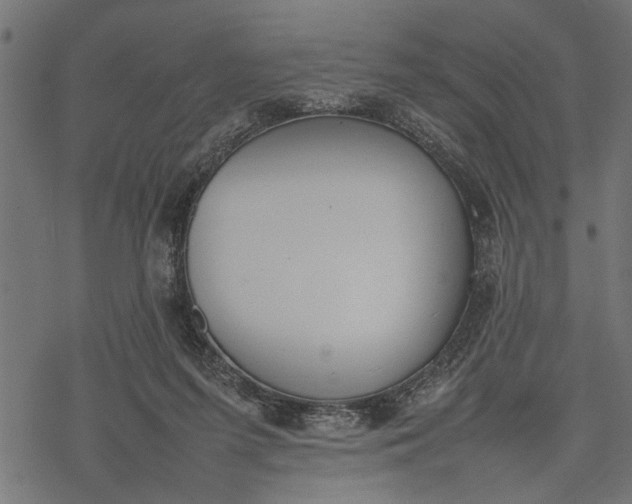 X0000077280215200611031533