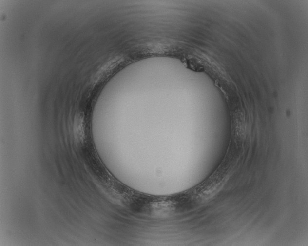 X0000077280216200611031533