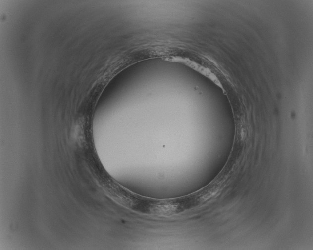 X0000077280217200611031533