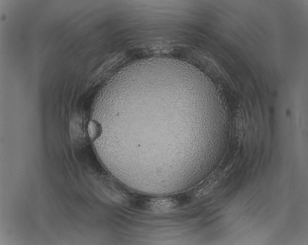 X0000077280218200611031533