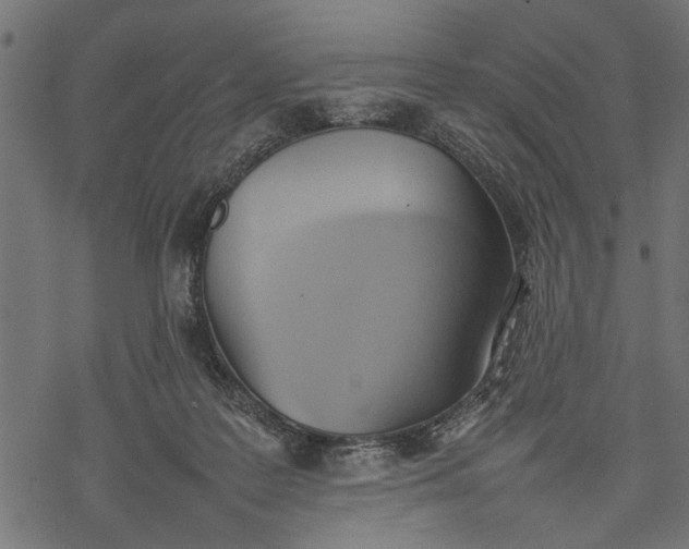 X0000077280219200611031533