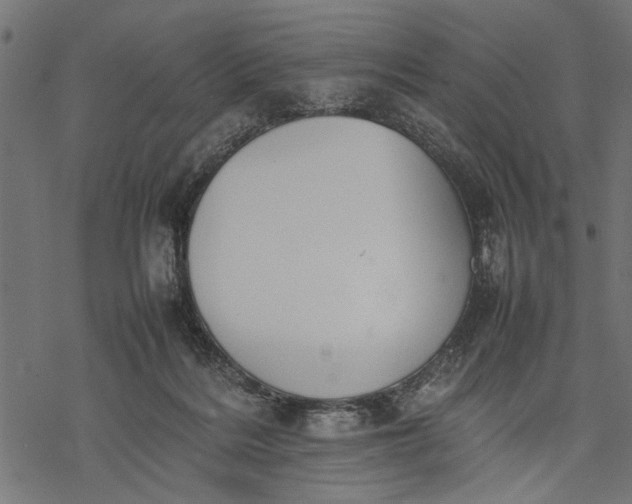 X0000077280220200611031533