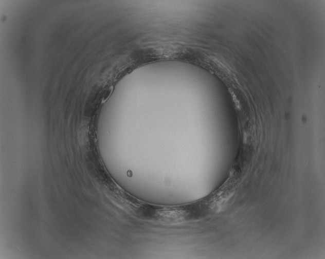 X0000077280221200611031533