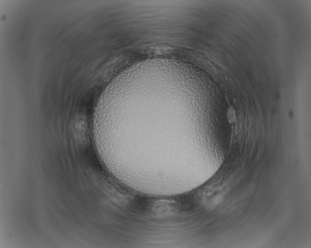 X0000077280222200611031533