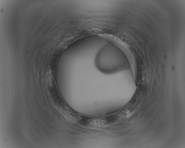 X0000077280223200611031533