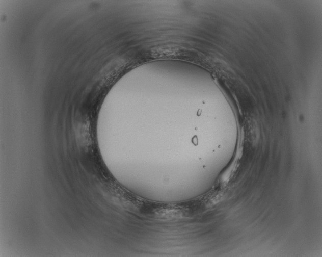 X0000077280224200611031533