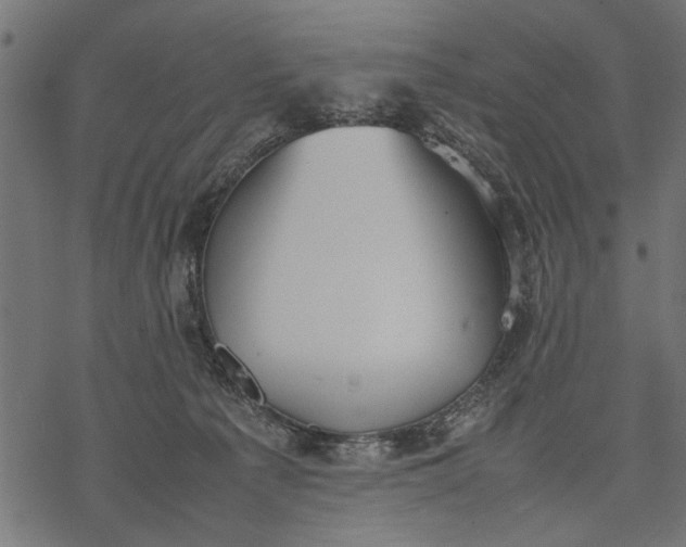 X0000077280225200611031533