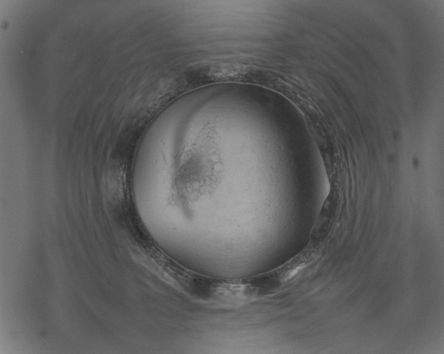 X0000077280227200611031533