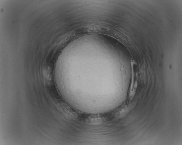 X0000077280228200611031533