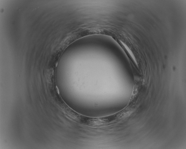 X0000077280229200611031533