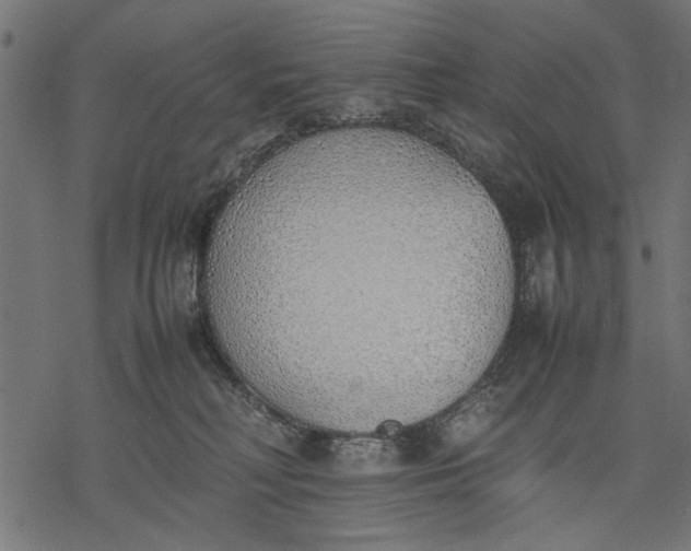 X0000077280230200611031533