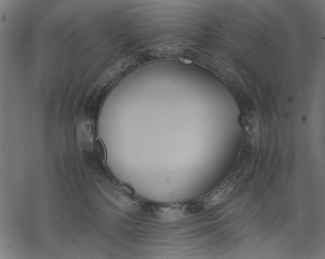 X0000077280232200611031533