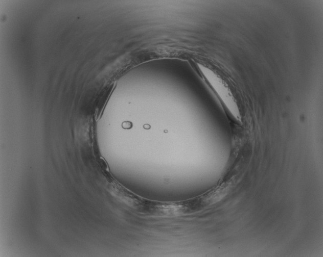 X0000077280233200611031533